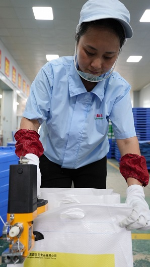編織袋鎖包，一等獎，張玲麗.JPG